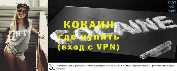 соль ск Надым